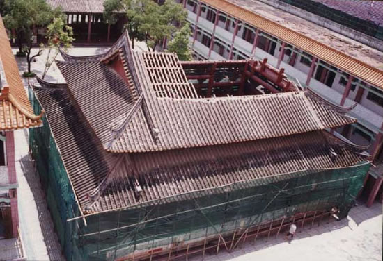 白蟻破壞古建筑